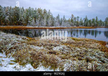 Michigan Winter Wonderland. Forêt magnifique avec la neige fraîchement tombée reflétée dans les eaux calmes d'un lac sauvage dans la Péninsule Supérieure du Michigan. Banque D'Images