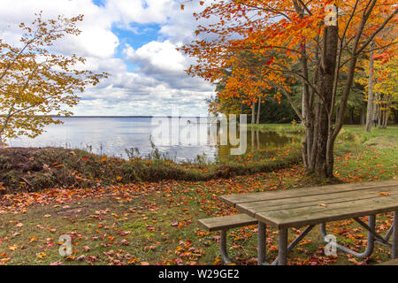 Michigan National Forest dans l'automne. Journée d'automne ensoleillée sur les rives du lac Brevort dans l'Hiawatha National Forest de la Péninsule Supérieure du Michigan Banque D'Images