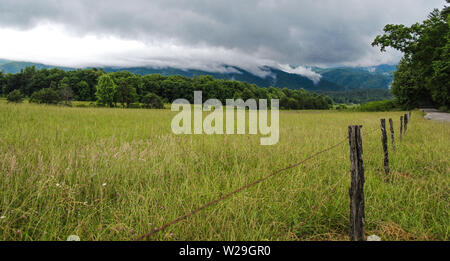 Prairie de Cades Cove dans le Great Smoky Mountains National Park avec un fond de montagne enveloppée de brouillard. Banque D'Images