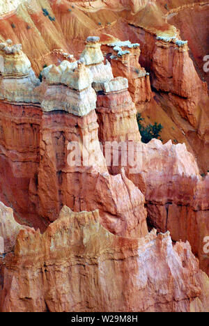 Les formes et les couleurs de Bryce Canyon, Utah en tout c'est la gloire. Banque D'Images