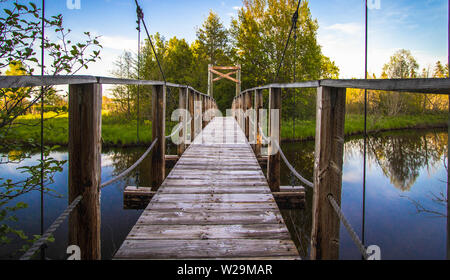 Randonnée Sur Le Sentier Du Nord. Passerelle en bois pour les randonneurs traversant une rivière sur le sentier North Country Trail dans la forêt nationale de Hiawatha, au Michigan. Banque D'Images