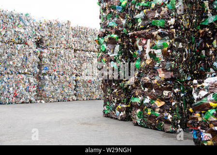 Minsk, Belarus - 6 juin 2019 un tas de bouteilles en plastique extrudé à un nettoyage de la mémoire centrale. Le tri et le recyclage du plastique. Banque D'Images