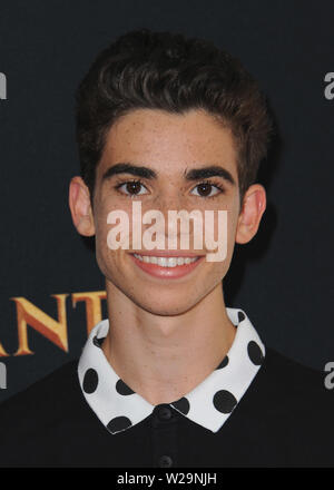 ***PHOTO*** ACTEUR CAMERON BOYCE EST DÉCÉDÉ À L'ÂGE DE 20 ANS AURAIT ÉTÉ À LA SUITE D'UNE SAISIE. BURBANK, CA - le 24 juillet : Cameron Boyce à la première de Disney's 'Descendants' au Walt Disney Studios le 24 juillet 2015 à Burbank, Californie. Credit : PGSK MediaPunch MediaPunch/crédit : Inc/Alamy Live News Banque D'Images