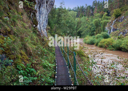 Vue d'un chemin le long des chaînes de métal avec Hornad canyon, Slovensky Raj, la Slovaquie. Brown river stream. Des pins vert foncé, d'énormes rochers. Jour nuageux sur Se Banque D'Images