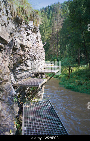 Vue d'un chemin de métal avec des chaînes au-dessus Hornad canyon, Slovensky Raj, la Slovaquie. Brown river stream. Des pins vert foncé, d'énormes rochers. Journée ensoleillée en Sep Banque D'Images