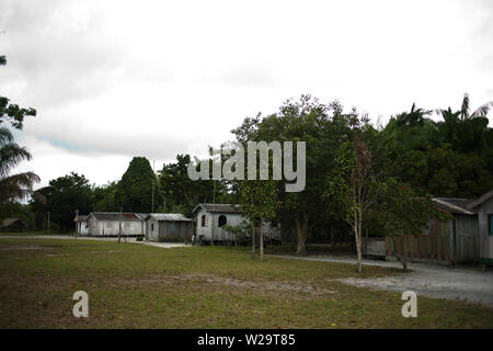 Maisons, Boa Esperança Communauté, Cuieiras River, Amazonie, Manaus, Amazonas, Brésil Banque D'Images