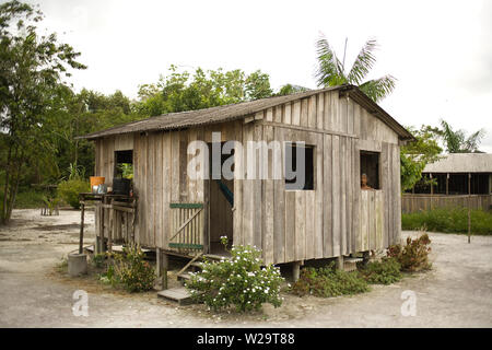 Maisons, Boa Esperança Communauté, Cuieiras River, Amazonie, Manaus, Amazonas, Brésil Banque D'Images