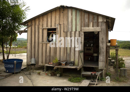 Maisons, Boa Esperança Communauté, Cuieiras River, Amazonie, Manaus, Amazonas, Brésil Banque D'Images