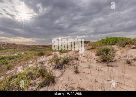 Monahans Sandhills State Park à Monahans, Texas, États-Unis Banque D'Images