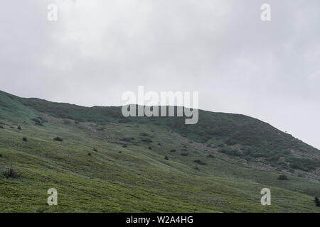 Plage avec vue sur la montagne dans un épais brouillard Tarnica à Bieszczady, Pologne. Banque D'Images
