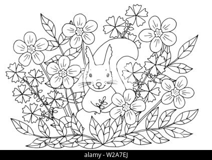 Abstract coloriage avec fleurs d'été et de l'écureuil mignon, pour les enfants et les adultes Illustration de Vecteur