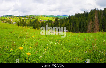 Carpates printemps pittoresque scène avec un pâturage vert et luxuriant et vieux chalets de la vallée entourée de pinèdes dans Yablunytsya, Ukraine. Banque D'Images