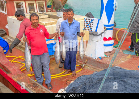 Al Khor, Qatar - Février 23, 2019 : les pêcheurs de dhaw traditionnel show à gros poissons frais. Al Khor Doha Resort près de célèbre pour son marché aux poissons nouvelle Banque D'Images