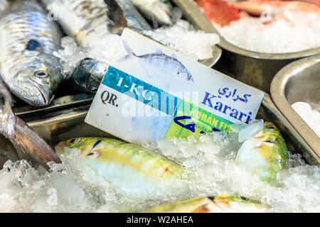 Al Khor, Qatar - Février 23, 2019 : Horan poisson à l'intérieur du marché de poisson de Al Khor, situé à proximité de la corniche. Le Qatar, au Moyen-Orient, l'Arabian Banque D'Images