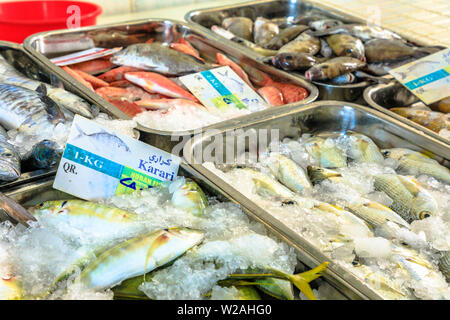 Al Khor, Qatar - Février 23, 2019 : Horan les poissons et d'autres types de poissons de l'Océan Indien, à l'intérieur du marché de poisson de Al Khor, situé près de Banque D'Images