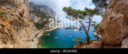 Calanque de Sugiton, grand panorama. Brouillard d'été. Marseille, France Banque D'Images