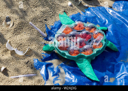 Turtle fabriqués à partir de déchets plastiques rejetés sur les plages Banque D'Images