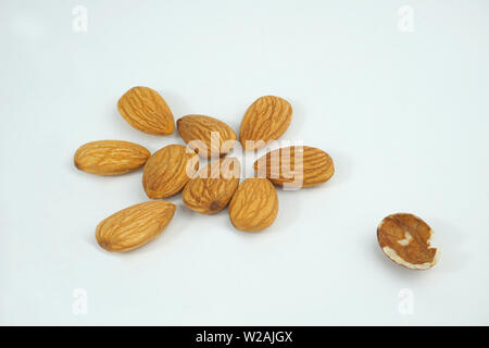 Bonnes et mauvaises amandes isolé sur fond blanc Banque D'Images