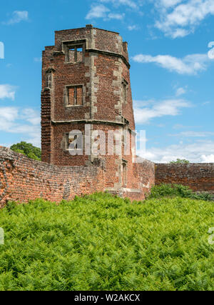 Vieux mur de briques et de tour en ruine, Lady Jane Grey's House, Bradgate Park, Leicestershire, England, UK Banque D'Images