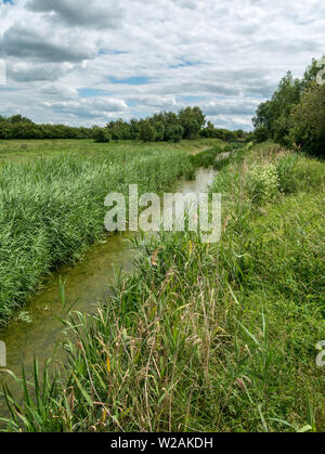 Le Mustdyke, une cité médiévale de drainage fenland dyke, Flag Fen, Peterborough (Cambridgeshire, Angleterre, RU Banque D'Images