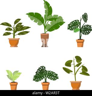 Plantes en pot isolé sur blanc. Vector set de six plantes tropicales verte en pot pour l'intérieur et l'illustration cartoon accessoires Illustration de Vecteur