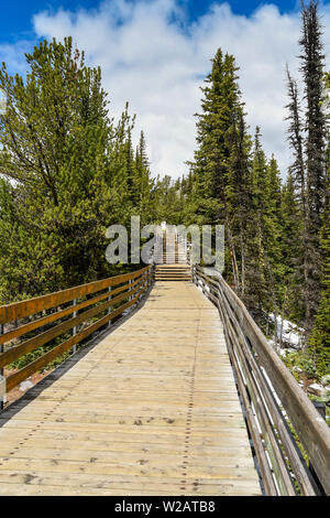 BANFF, ALBERTA, CANADA - Juin 2018 : passerelle en bois au sommet du mont Sulphur à Banff. Banque D'Images