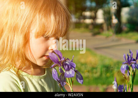 Une petite fille renifle iris fleurs pourpre. Banque D'Images