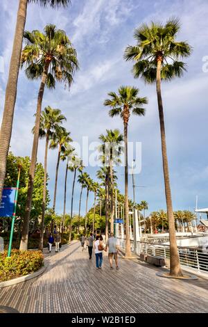 Promenade côtière bordée de palmiers à Long Beach, Californie Banque D'Images