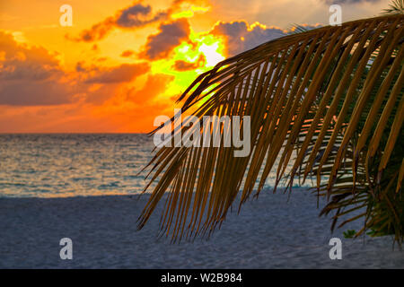 Cette photo montre la gigantesque coucher du soleil aux Maldives. Vous pouvez facilement voir comment le ciel éclate et tout devient orange Banque D'Images