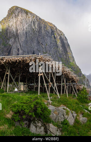 La belle pics déchiquetés des Lofoten, crée un cadre idéal pour d'innombrables carrés de morue séchage vu dans toute la région. Banque D'Images