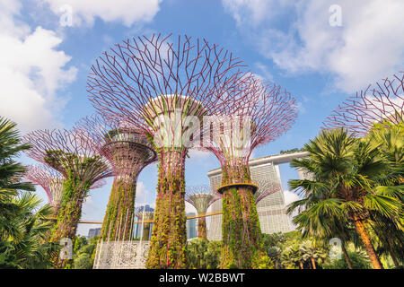 MARINA BAY, SINGAPOUR - 6 janvier 2019 : Singapore city skyline at Supertree Grove de Gardens By The Bay Banque D'Images