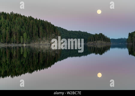 La lune s'élève au crépuscule dans le parc national de Kolovesi, Enonkoski, Finlande Banque D'Images