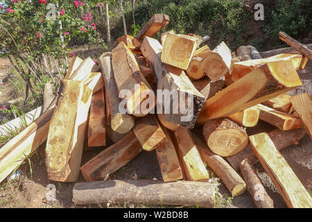 Un tas de bois empilés dans un jardin fleuri. Des poutres en bois et sciage d'arbres et de fleurs. Long fraîchement coupé le bois. Banque D'Images