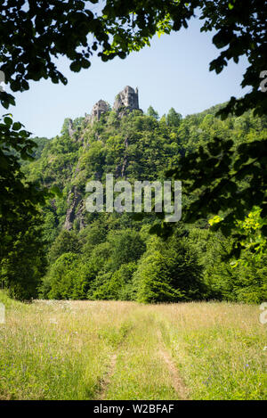 Ruines de l'ancien château (Starhrad Strecno) dans les montagnes Mala Fatra, République Slovaque Banque D'Images