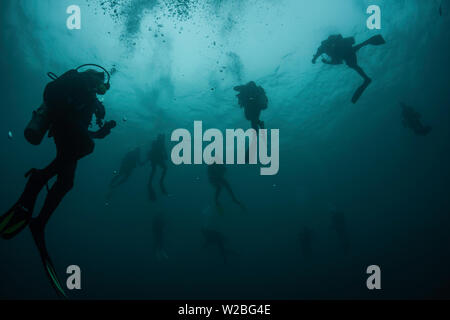 Les plongeurs de l'ascend après une plongée profonde dans les eaux magnifiques de la Grenade, dans les Antilles, dans la mer des Caraïbes. Banque D'Images