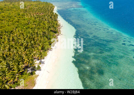 Plage tropicale avec palmiers et sable blanc, vue du dessus. Plages philippines. La côte d'une île magnifique avec une plage de sable blanc et de récifs coralliens. Banque D'Images