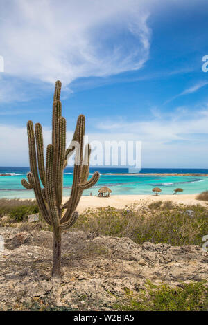 Caraïbes, Antilles néerlandaises, Aruba, baby beach Banque D'Images