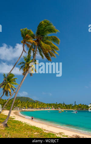 Caraïbes, Antigua, Morris, Morris Bay Bay Beach Banque D'Images