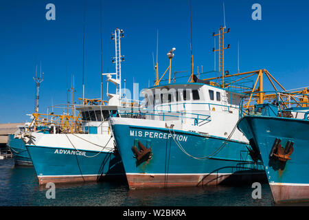 L'Australie, Australie occidentale, Freemantle, bateau de pêche, des bateaux de pêche du port