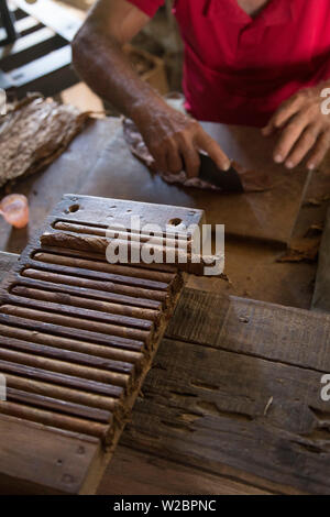 Rouler des cigares à l'Alejandro Robaina plantation de tabac, province de Pinar del Rio, Cuba