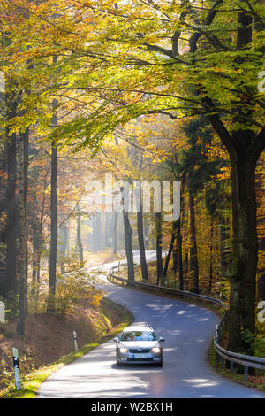 Route à travers des forêts d'automne, la Suisse Saxonne, Saxe, Allemagne Banque D'Images