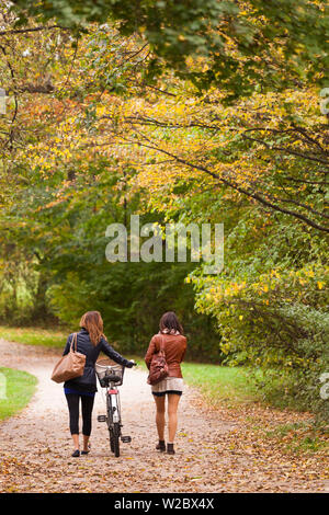 Germany, Bavaria, Munich, parc Englischer Garten, visiteurs, automne Banque D'Images