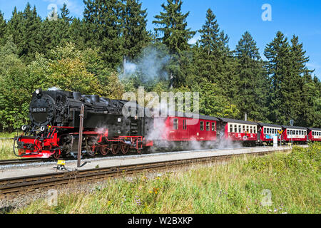 Voyager en train à vapeur à partir de Wernigerode au sommet de la montagne Brocken, Harz, Saxe-Anhalt, Allemagne Banque D'Images