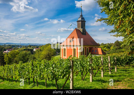 Chapelle et vignobles à Pillnitz, près de Dreden, Saxe, Allemagne Banque D'Images