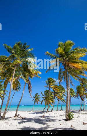 République dominicaine, Punta Cana, Playa Bavaro Beach Banque D'Images