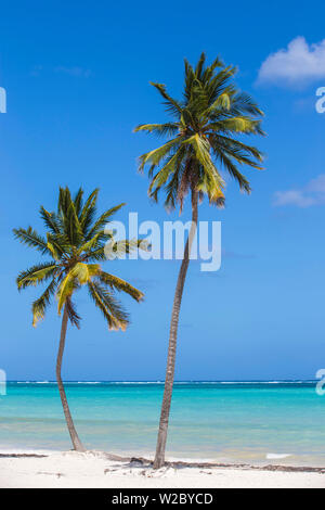 République dominicaine, Punta Cana, Playa Bavaro Beach Banque D'Images