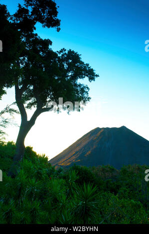 El Salvador, le Cerro Verde National Park, parc national du volcan, volcan Izalco, une fois appelé le "Phare du Pacifique", département de Santa Ana Banque D'Images