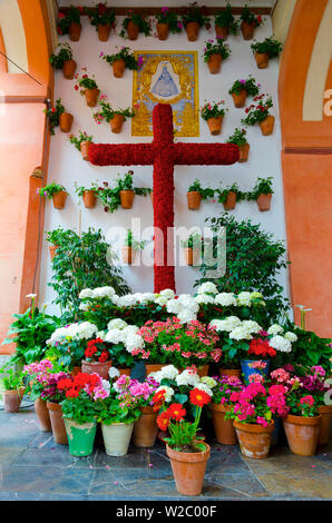 Espagne, Andalousie, province de Cordoba, Cordoue, Plaza de la Corredera, Fiesta de la croix ou peuvent traverser les célébrations (Fiesta de Las Cruces ou Cruz Mayo) Banque D'Images