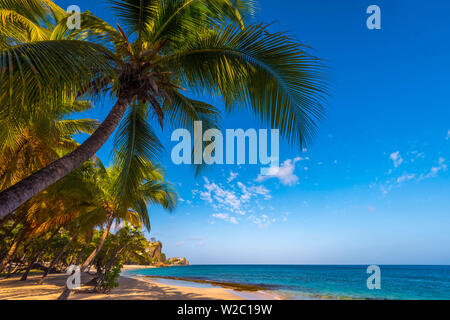 Caraïbes, Grenade, Magazine Beach Banque D'Images