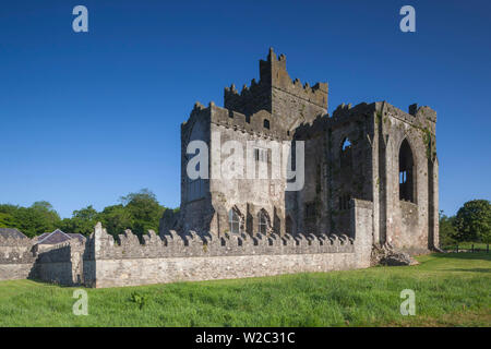 L'Irlande, le comté de Wexford, Péninsule de Hook, Saltmills, Abbaye de Tintern, 13e siècle Banque D'Images